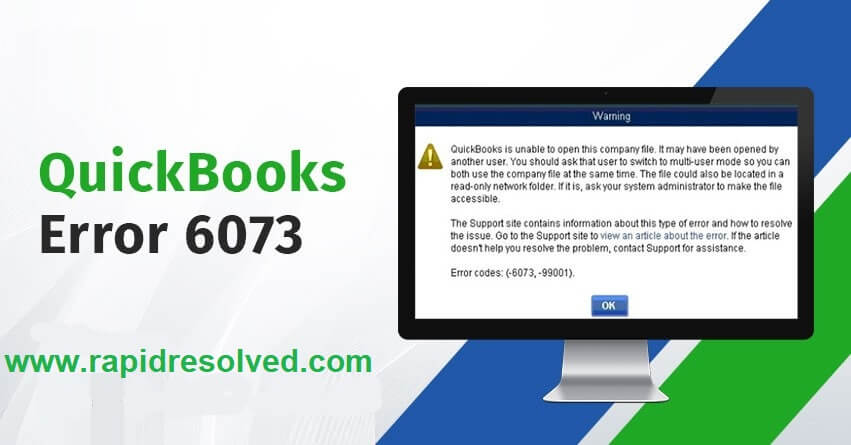 quickbooks error 6073