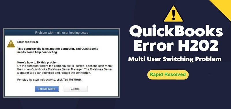 QuickBooks Error H202
